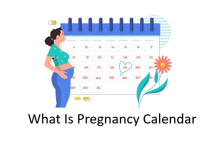 What Is Pregnancy Calendar
