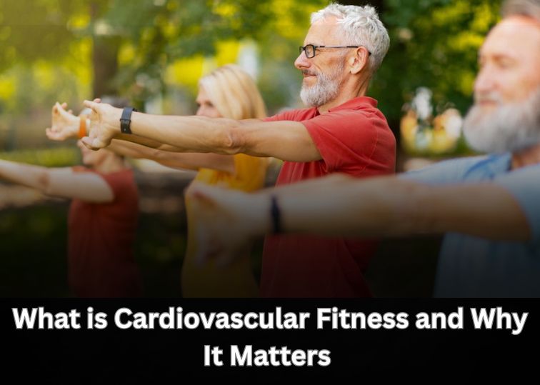 What is Cardiovascular Fitness and Why It Matters