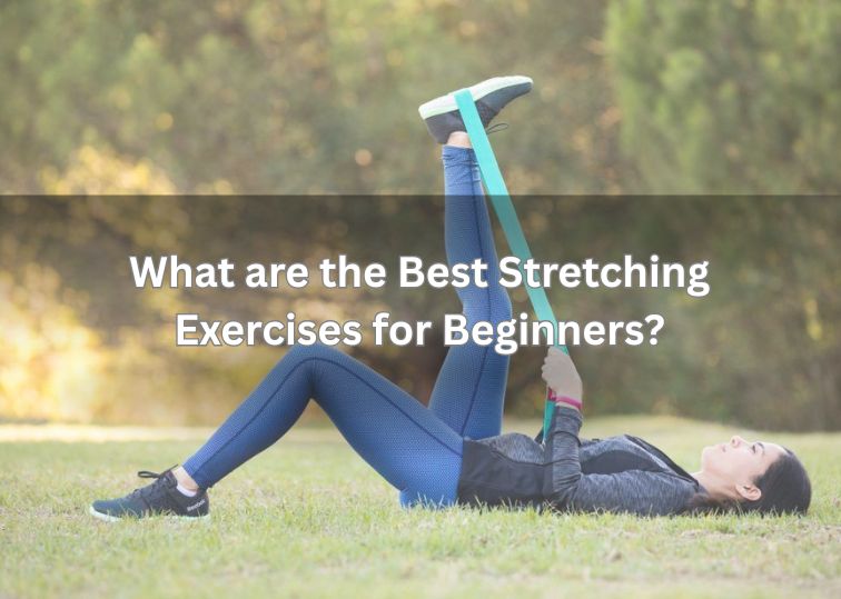 What are the Best Stretching Exercises for Beginners?