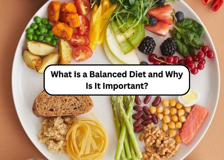 What Is a Balanced Diet and Why Is It Important?